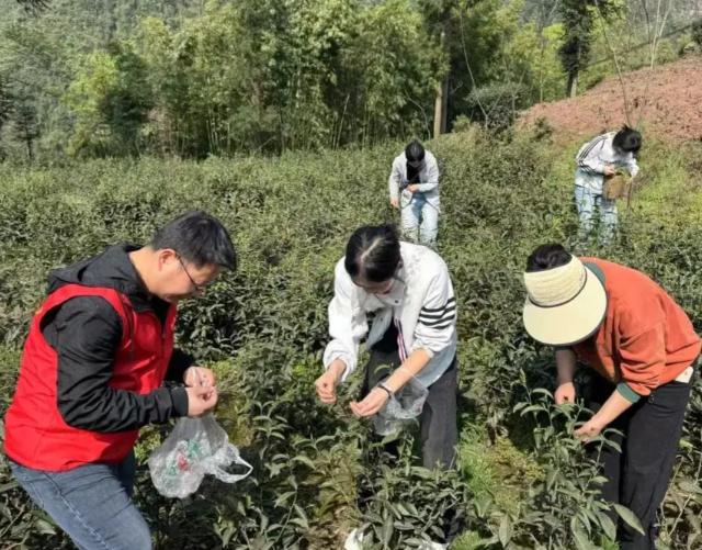 劳动教育在校园中稳步推进帮助学生成为适应时代合格人才 劳动教育在校园中稳步推进帮助学生成为适应时代合格人才