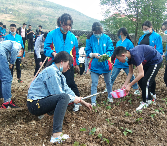 劳动教育在校园中稳步推进帮助学生成为适应时代合格人才 劳动教育在校园中稳步推进帮助学生成为适应时代合格人才