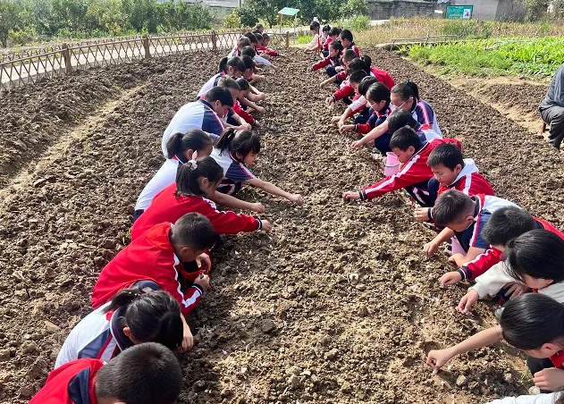劳动教育依然是大学生成长路上不可或缺的养分 劳动教育依然是大学生成长路上不可或缺的养分