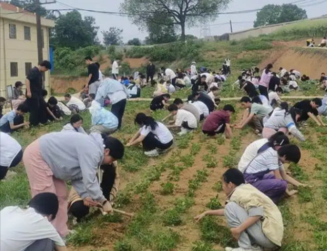 劳动教育依然是大学生成长路上不可或缺的养分 劳动教育依然是大学生成长路上不可或缺的养分